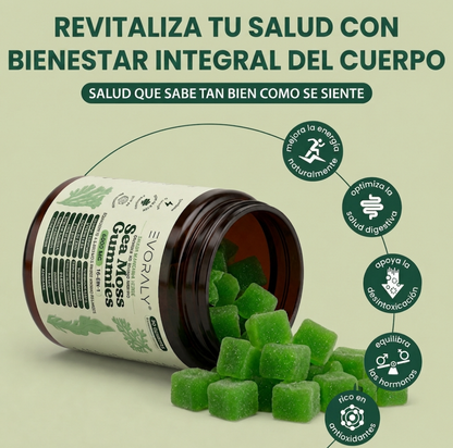 Evoraly Gomitas de Musgo Marino 16-En-1