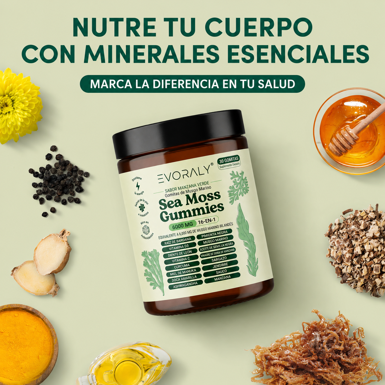Evoraly Gomitas de Musgo Marino 16-En-1