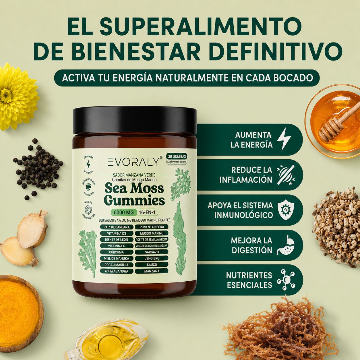 Evoraly Gomitas de Musgo Marino 16-En-1